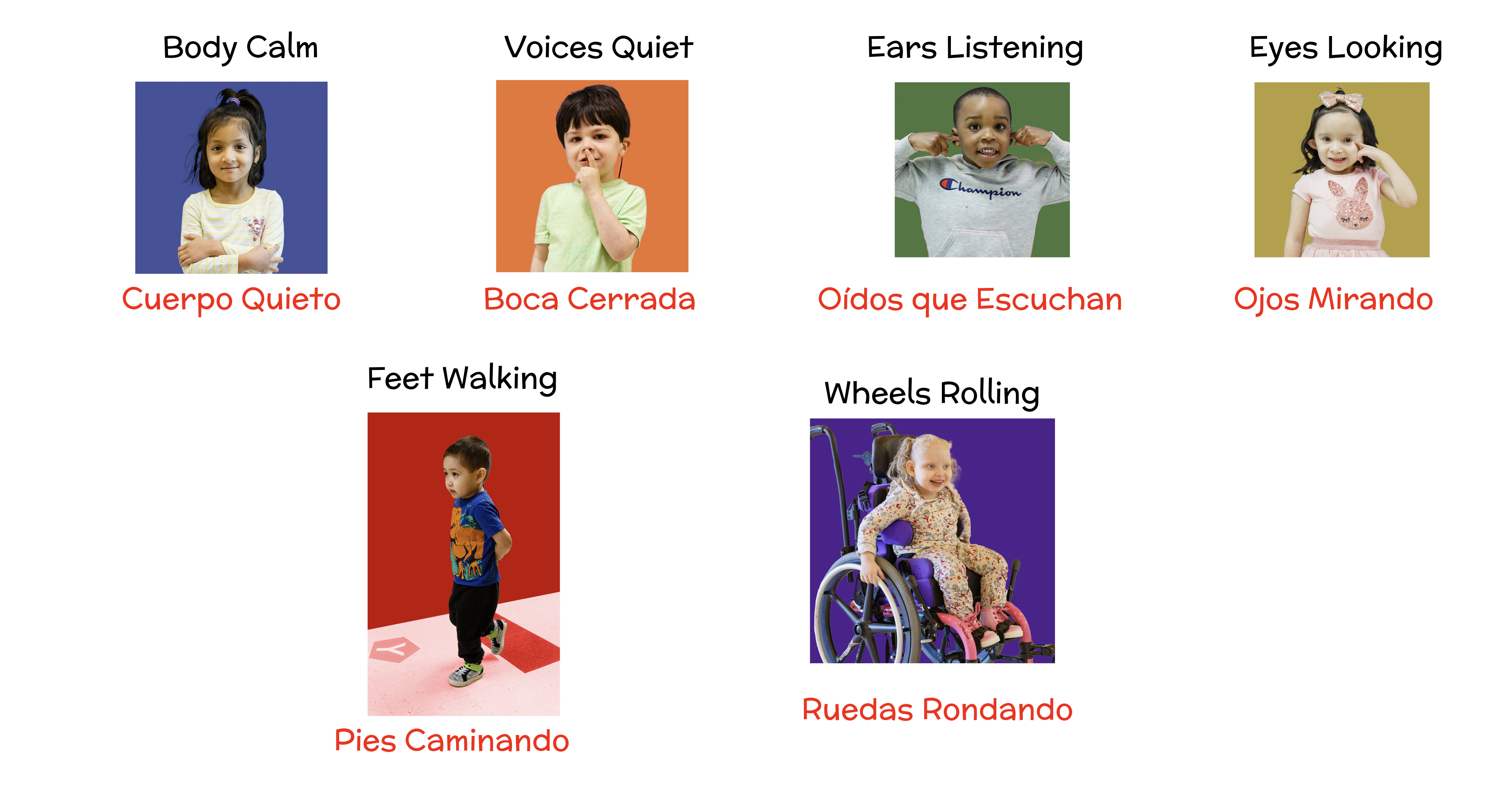 Calm, Quiet, Listening, Looking, Walking, and Rolling